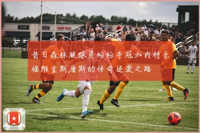 昔日森林狼球员纷纷夺冠加内特乐福维金斯唐斯的传奇逆袭之路