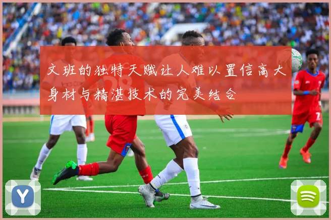 文班的独特天赋让人难以置信高大身材与精湛技术的完美结合